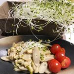 ブロッコリースプラウト☘️最近注目されとるみたいで、初めて食べたけどサラダにピッタリだった😆‼️色んな効果あるみたいだから続けて食べたい💓ただ、1週間で成長しなかったな(&acute;∵`)ラディッシュちゃん&hellip;のInstagram画像