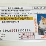 #あさくさ福猫太郎 #浅草名物 #monipla #あさくさ福猫太郎ショップファンサイト参加中のInstagram画像