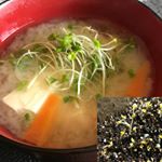 今日はブロッコリースプラウトをおみそ汁にIN♬自分で育てたから美味しいと息子がパクパク食べてたよ！食育になるし便利だし素敵なキットだね❤️#dcm栽培セット #くらしメイド #mo&hellip;のInstagram画像