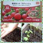 DCMホールディングスさんの、「DCMブランド　栽培セット」を頂きました🍀😊ラディッシュとブロッコリースプラウトのセット🎶プランター・種・土・肥料など必要なものがそろっていて、早ければ一週間で&hellip;のInstagram画像