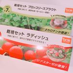 ＊最近暖かくなってきたので&hellip;♡ミニ家庭菜園始めます😊✨DCMブランドさんの栽培キット👩🏻&zwj;🌾プランターや土等必要なものが全部入っているのであとは水だけで🆗😳❣️ブロッコリースプラウ&hellip;のInstagram画像