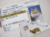 口コミ記事「なにこの可愛さ♪♪」の画像