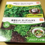 DCMブランドの栽培セットは、おうちで手軽に野菜が栽培出来るキットです。タネはおろか土もプランターまでセットされているのでとっても便利😊モニターで「ガーデンレタス」と「ブロッコリースプラウト」を育&hellip;のInstagram画像