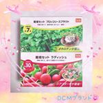 🎀DCMブランド/栽培セット🎀ベランダで「ラディッシュ」と「ブロッコリースプラウト」を栽培中🌱✨.暖かくなり始めた今月上旬に種まきをしました.&deg;ʚ(*&acute;꒳`*)ɞ&deg;.我が家はあまり日当&hellip;のInstagram画像