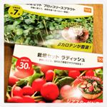 栽培セットいただきました！天気不安定でなかなか植えられずにいたけどだいぶあったかくなったし家庭菜園するのだ(`･&omega;･&acute;)育ったらまた載せます&hellip;！#dcm栽培セット #くらしメイド #monipla&hellip;のInstagram画像