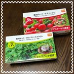 栽培セット届いてからずっと寒かったから農家の方にまだ植えない方がいいよって言われたので、昨日植えたばかりです💧また何か変化があったらupします🌱🌱🌱#dcm栽培セット #くらしメイド #mon&hellip;のInstagram画像