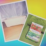 栽培するのがおそすぎてまだ芽がでていません。まだまだ野菜が高いから主婦には助かります！芽が出るのが楽しみ◡̈*❤︎ #dcm栽培セット #くらしメイド #monipla #DCMホールディング&hellip;のInstagram画像