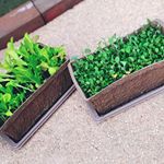 *DCMホールディングスからいただいた栽培セット🌱ブロッコリースプラウトとガーデンレタスを育てました！詳しい説明書ついててわかりやすいし、プランターも土も肥料も全部入ってたからすぐ始められ&hellip;のInstagram画像