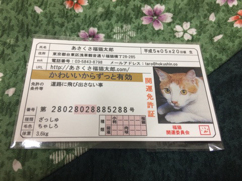 口コミ：あさくさ福猫太郎♡の画像（1枚目）