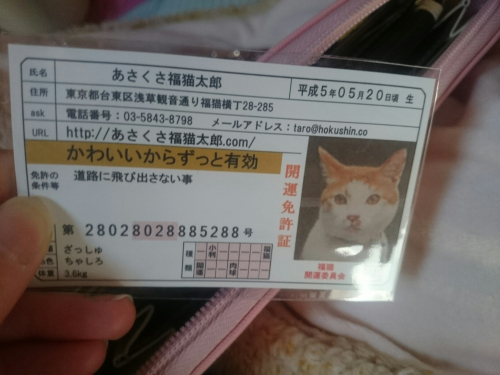 口コミ：可愛いけどの画像（2枚目）