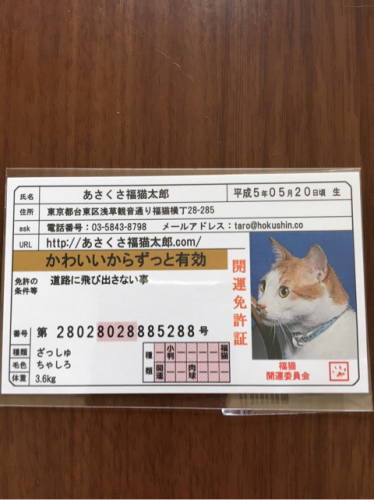 口コミ：金箔入り★高級な免許証の画像（1枚目）