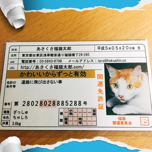 口コミ：幸せになれそう♪♪(*&acute;▽｀*)ノ゛の画像（2枚目）