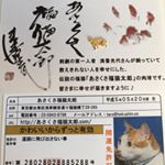 浅香光代さんが 傷だらけの野良猫を助けた事により飼い始めた猫🐈幸福が次から次へと舞い込み多くの人を幸せにした福猫ちゃんです😊私も幸せ✨のおすそ分け 私にも幸せと開運が届来くといいなぁ〜😊.&hellip;のInstagram画像