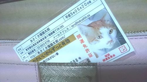 口コミ：猫の手で福をキャッチ！の画像（3枚目）