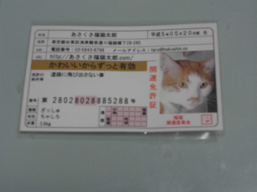 口コミ：可愛いお守りと免許証が届きました！の画像（1枚目）