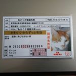 いただきました！最近懸賞してないのだけれど、これもらったら、ずっと前に応募してて忘れてた懸賞の、当選通知が来た😳ご利益あるかも🤗猫大好きー❤️可愛い(ﾉ≧▽≦)ﾉ💕#あさくさ福猫太郎 &hellip;のInstagram画像