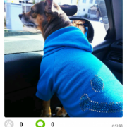 「記念すべき1枚目！★」ペット専用SNSアプリに写真を投稿するだけ！クオカード10名様にプレゼント♪の投稿画像