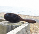 「海辺」の画像（2枚目）