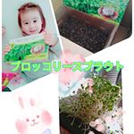 ．3回目でやっと育った✨なにが悪かったかわからないけど、やっぱり栽培するの始めは失敗することが多いな〜でもまたバジルとかハーブ系も育てよ！ゴキ対策に😁今日は暖かくな&hellip;のInstagram画像