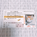 かわいいお守り♪