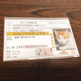 口コミ記事「かわいいからずっと有効♡あさくさ福猫太郎開運純金メッキ豆お守り」の画像