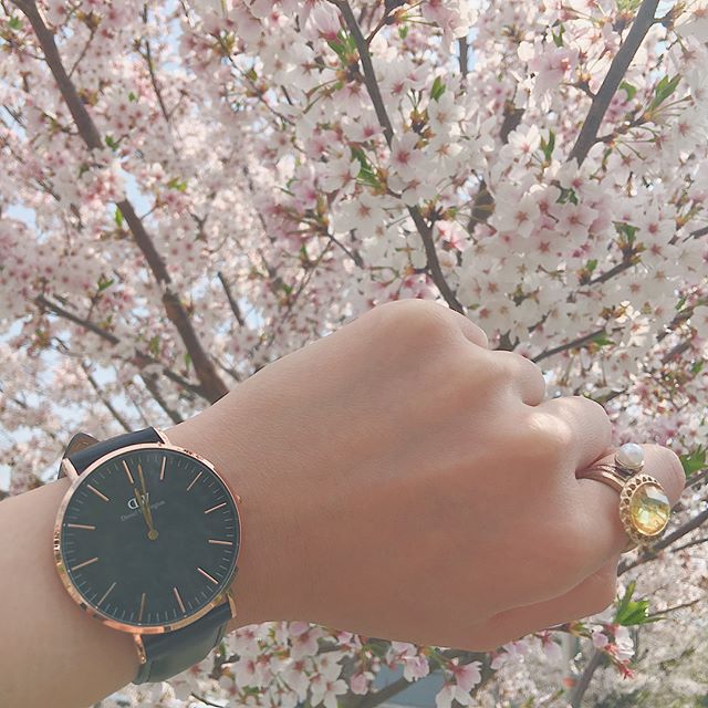 口コミ投稿：♡My new itemS♪♪、大判で素敵な時計を@danielwellington 様から頂きました( ᵕᴗᵕ )*･…