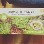 #dcm栽培セット #くらしメイド #monipla #DCMホールディングスファンサイト参加中のInstagram画像