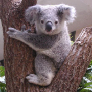 「よろしくお願いします。」春の新生活！口臭を気にせず自信を持って臨みましょう！【ルブレン】体験モニター募集の投稿画像