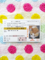 口コミ：開運「あさくさ福猫太郎」の肉球:当選品の画像（2枚目）