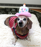 14歳のお誕生日の１枚です♪