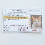 #あさくさ福猫太郎#浅草名物#monipla #あさくさ福猫太郎ショップファンサイト参加中のInstagram画像