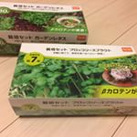 ブロッコリースプラウトは7日、ガーデンレタスは30日で収穫できるらしい！#dcm栽培セット #くらしメイド #monipla #DCMホールディングスファンサイト参加中のInstagram画像