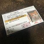 モニターで幸運の豆お守りいただきました。猫が写ってたので子供達にこの直後思いっきり握りつぶされてしまったよ&hellip;可愛いのでお財布入れとこう♪#あさくさ福猫太郎 #monipla #あさくさ&hellip;のInstagram画像