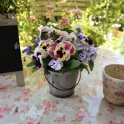 「ピンクのはさみと100円ミニバケツ。」お写真投稿イベント開催！！お気に入りのガーデニング用品のお写真大募集！！の投稿画像