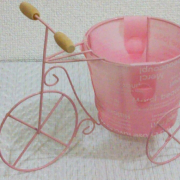 「今年も咲いた」お写真投稿イベント開催！！お気に入りのガーデニング用品のお写真大募集！！の投稿画像