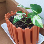 「お気に入りの鉢」お写真投稿イベント開催！！お気に入りのガーデニング用品のお写真大募集！！の投稿画像