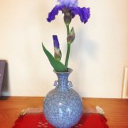 「我が家のお客様お迎え係」お写真投稿イベント開催！！お気に入りのガーデニング用品のお写真大募集！！の投稿画像