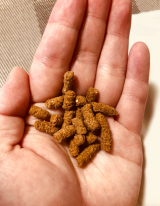 口コミ：【モニターレビュー】無添加ドッグフード安心の画像（3枚目）