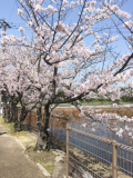 モニター応募用
