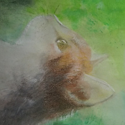 「亡き愛猫の思い出Tシャツ」「かわいいペット写真」でオリジナルＴシャツつくっちゃいます！【20名様】の投稿画像