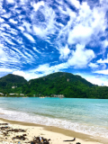 「ピピ島」の画像（1枚目）