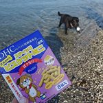 DHCさんのわんこ用のおやつお試しさせていただきました！うちの子おやつ大好きでして...。犬用サプリにもなってるみたいで私がお試しさせたのはおめめパッチリになるこうかのある「ぱっちり」。パ&hellip;のInstagram画像