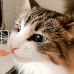 DHC様よりのInstagram画像