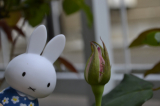 「お花」の画像（1枚目）