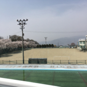 「桜満開」夏のお出かけに大活躍！1本で2役のヘアクリームのフォトコンテストを開催！の投稿画像