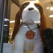 「季節の変わり目」夏のお出かけに大活躍！1本で2役のヘアクリームのフォトコンテストを開催！の投稿画像