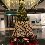 「写真」の画像（1枚目）