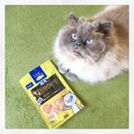 .DHCさんのキャンペーンに当選し、猫用贅沢けずりをお試しさせていただきました🐈鰹節よりも厚みのあるもので、鳥ささみ➕とさか味でした😄そのままあげてもOKなんだけど、トッピングにも&hellip;という&hellip;のInstagram画像