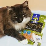 #DHC の #猫用おやつ 🐟  #贅沢けずり #まぐろ は #DHA #EPA 配合らしく 健康的なおやつです #😺 #うちのねこ ちゃん、とても美味しいらしく手まで食べられてしまうほどガッついてい&hellip;のInstagram画像