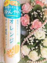 口コミ記事「夏のべたつく地肌は薄荷&オレンジでスッキリ♡冷んやり涼やかシャンプー」の画像